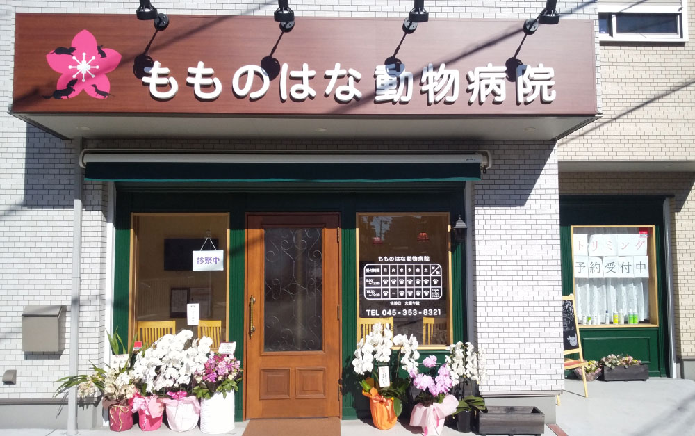 横浜市磯子区の地域密着の動物病院です。身近で話しやすい動物病院を目指しています。
